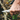 What Is a Pocket Knife Used For?