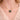 Midnight Shell Necklace
