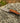 Adventure-Ready Everyday Carry Knife